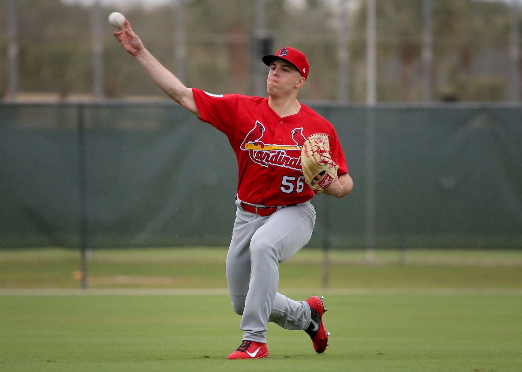 Cardinals spring training